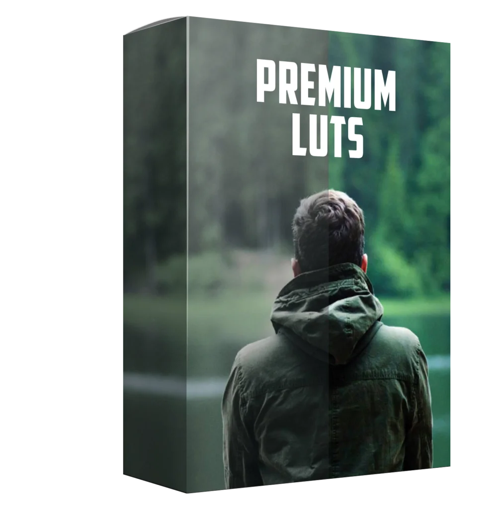luts-1006x1024